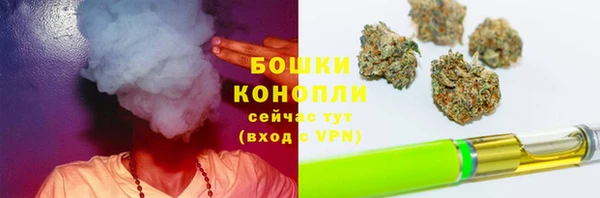 гашик Бронницы