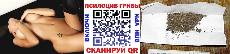Купить закладки  Тольятти  Псилоцибиновые грибы MAGIC MUSHROOMS 